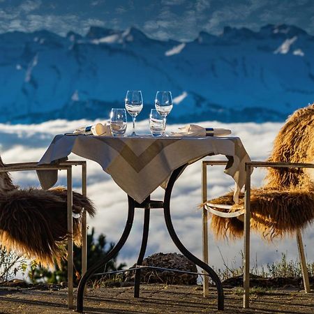 Kraeuterhotel Edelweiss Rigi Kaltbad Exteriér fotografie