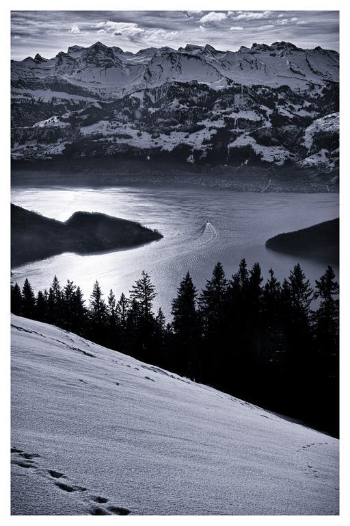 Kraeuterhotel Edelweiss Rigi Kaltbad Exteriér fotografie