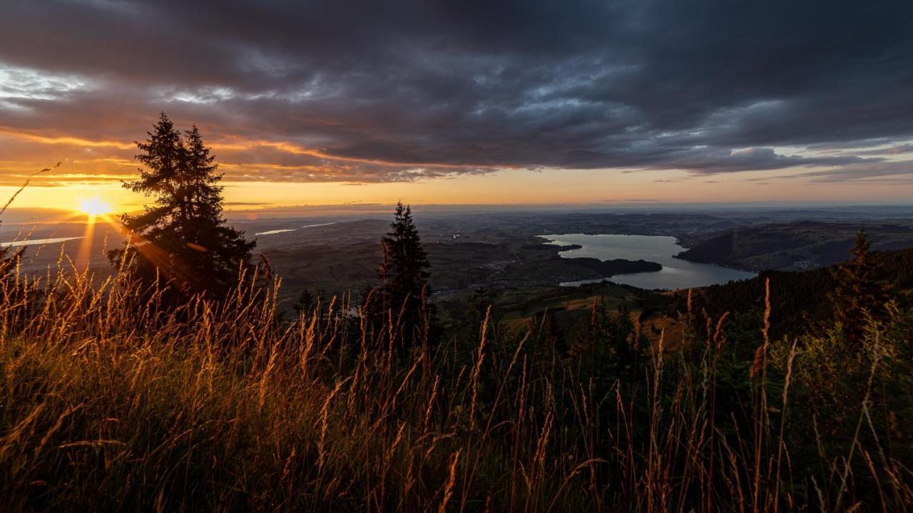 Kraeuterhotel Edelweiss Rigi Kaltbad Exteriér fotografie