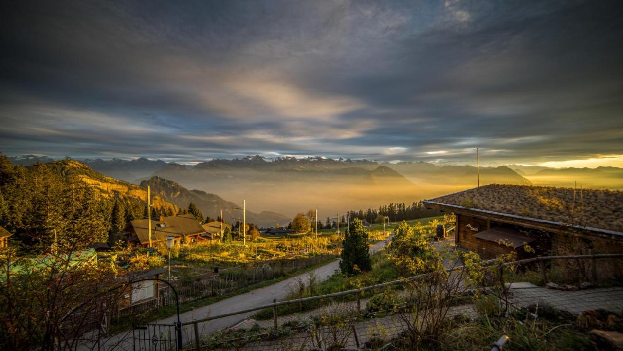 Kraeuterhotel Edelweiss Rigi Kaltbad Exteriér fotografie