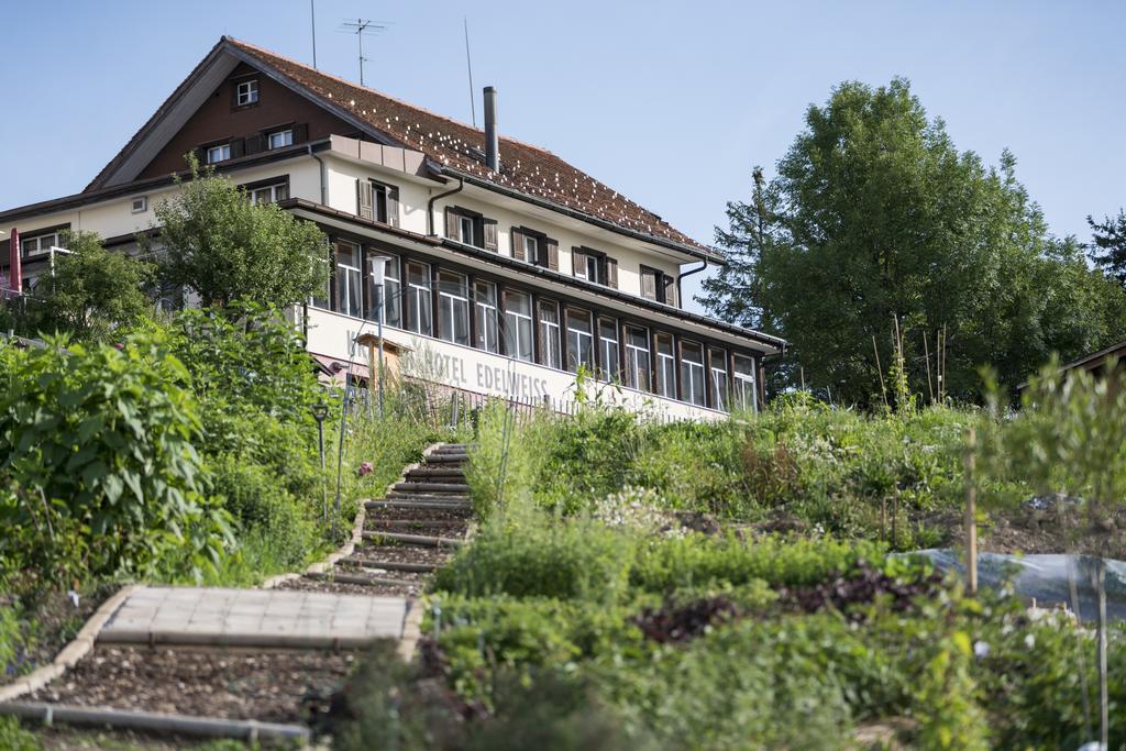 Kraeuterhotel Edelweiss Rigi Kaltbad Exteriér fotografie